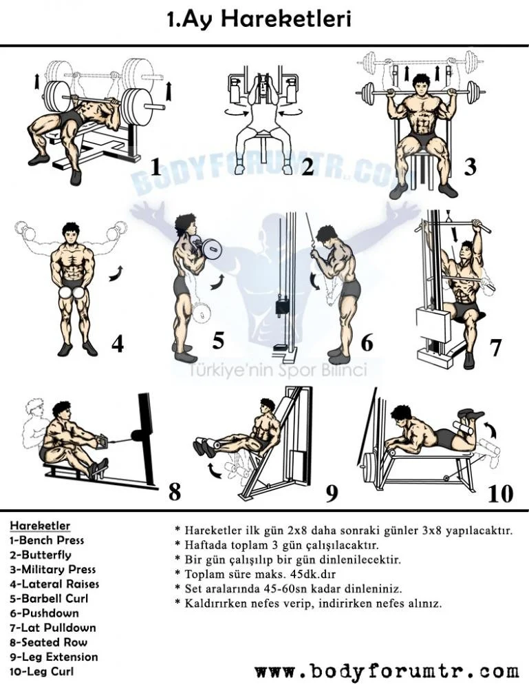 Vücut Geliştirme İçin Etkili Fitness Kas Programları