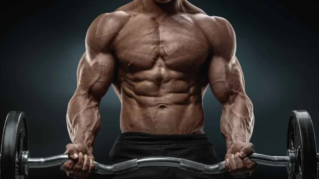 Güç Antrenmanı: Kas Kütlenizi Artırmanın Ve Güçlenmenin En İyi Yöntemleri