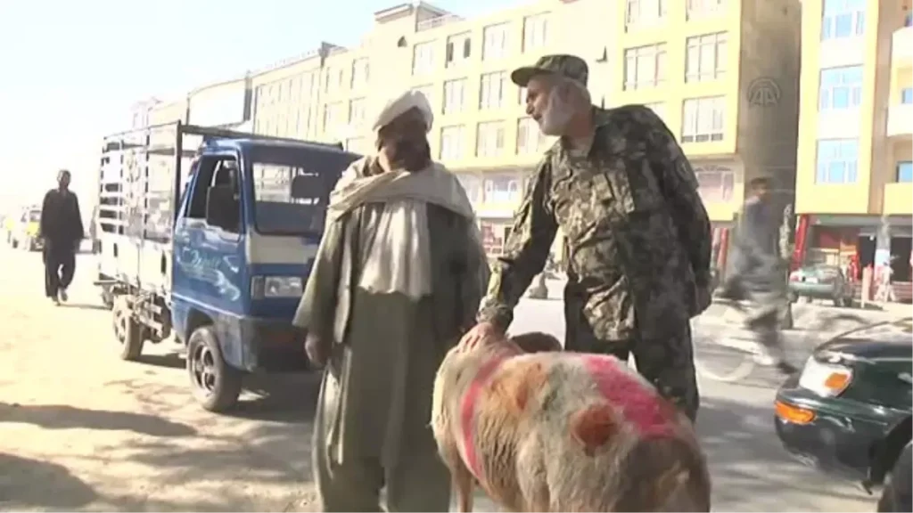 Kurban Bayramı Afganistan’da Binlerce Yetime Umut Oldu